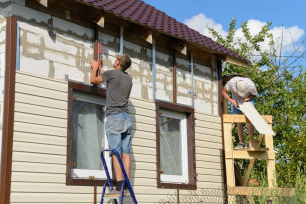 Best Steel Siding Installation  in Guntown, MS