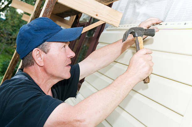 Best Vinyl Siding Installation  in Guntown, MS